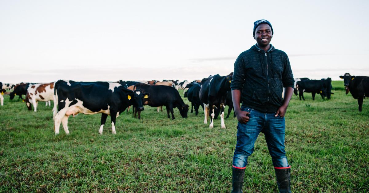 This is what successful land reform looks like Beautiful News